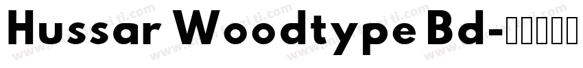 Hussar Woodtype Bd字体转换